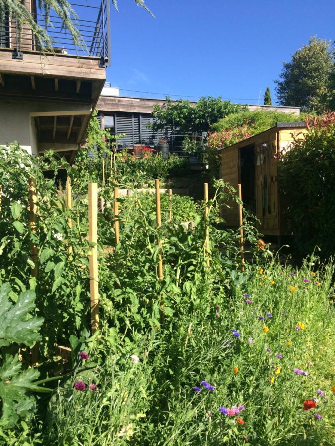Les Terrasses De Rochetaillee B&B 외부 사진