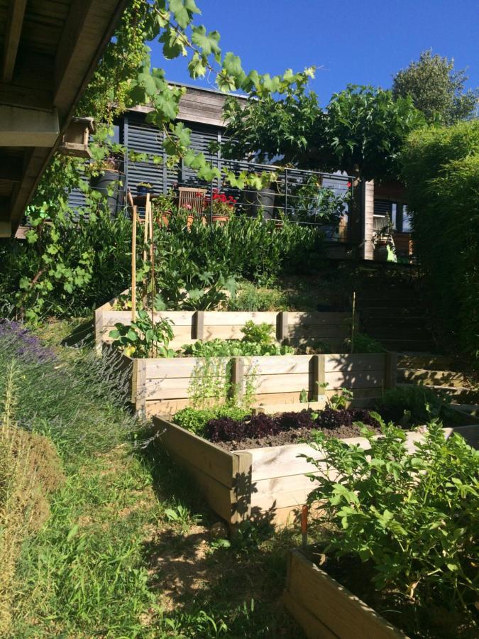 Les Terrasses De Rochetaillee B&B 외부 사진