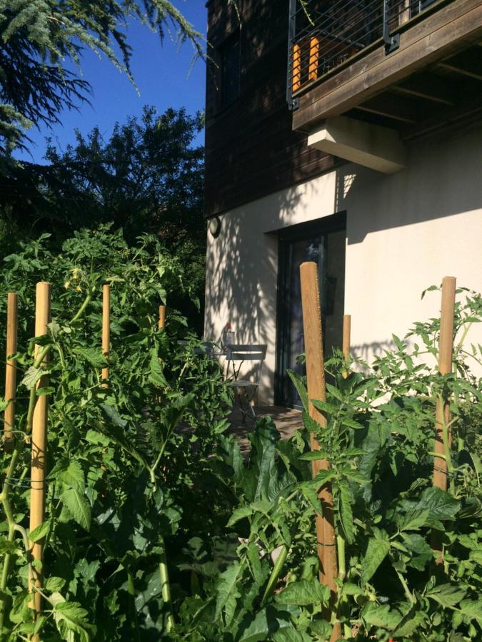 Les Terrasses De Rochetaillee B&B 외부 사진